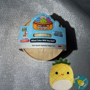 One (1) Mini Mystery SquishyDumpling Series & One (1) 5" Squishmallows -Maui